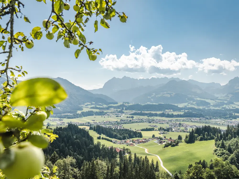 Landschaftsaufnahme von oben im Kaiserwinkl