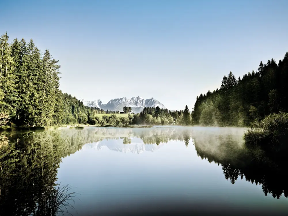 Blick auf den Gieringer Weiher