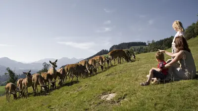 Familie im Wildpark Aurach