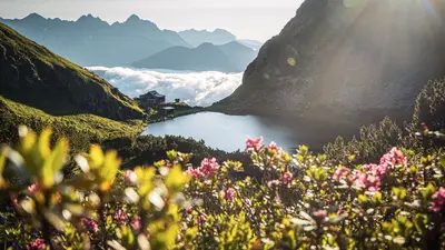 Wildseelodersee am Morgen