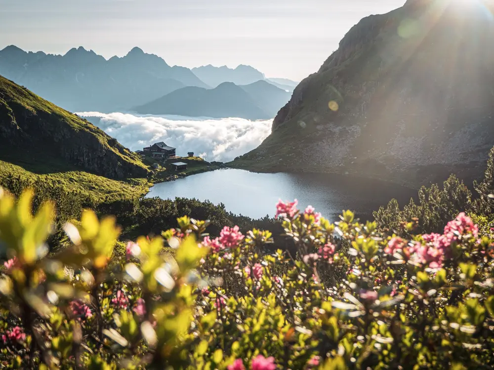 Wildseelodersee am Morgen