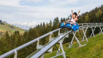 Drachenflitzer: Alpine Coaster Wildschönau