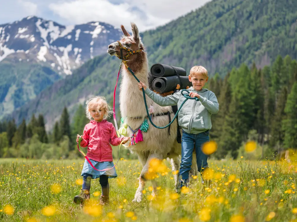 Lamawanderung mit der Familie
