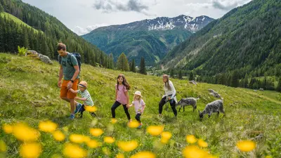 Rent a Goas Ziegenwanderung