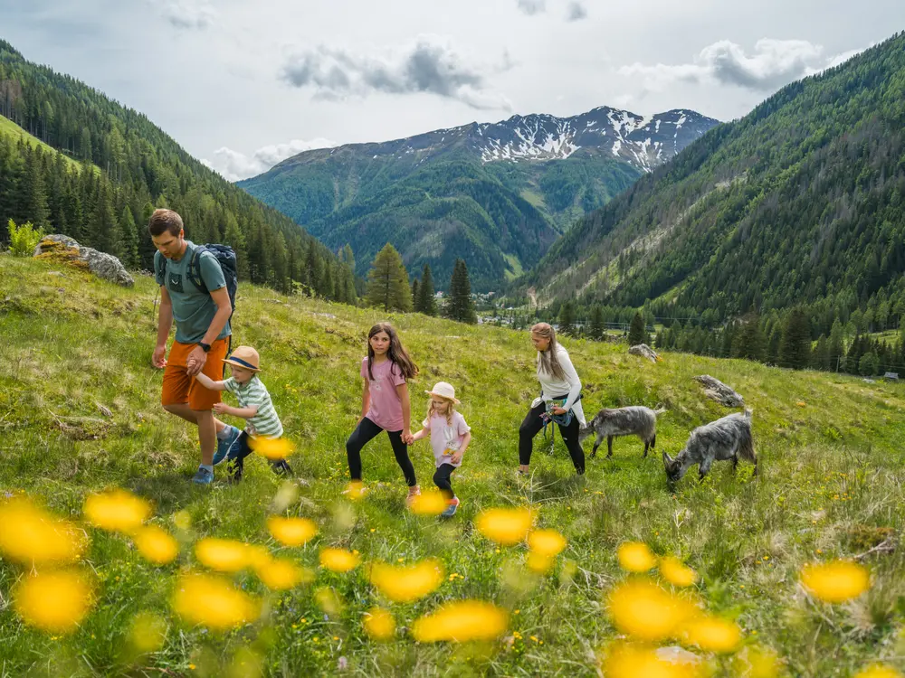 Rent a Goas Ziegenwanderung