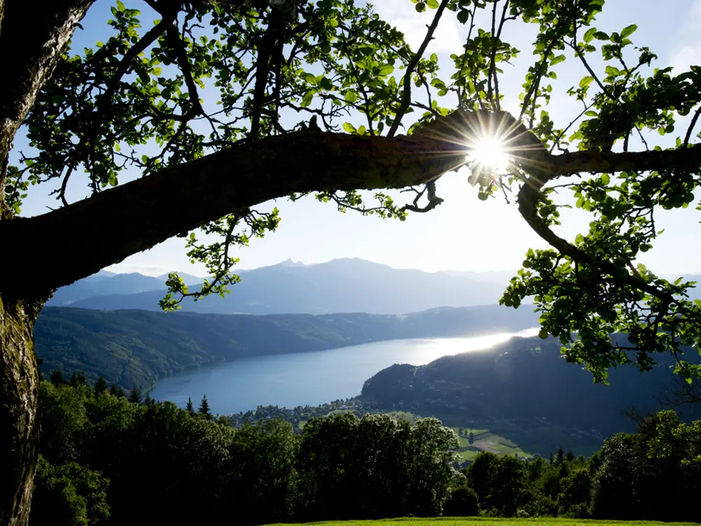 Panoramablick über den Millstätter See