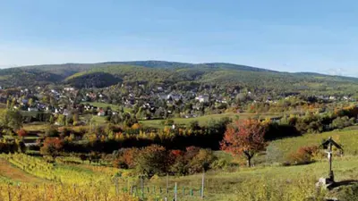 Wetterkreut Bad Sauerbrunn