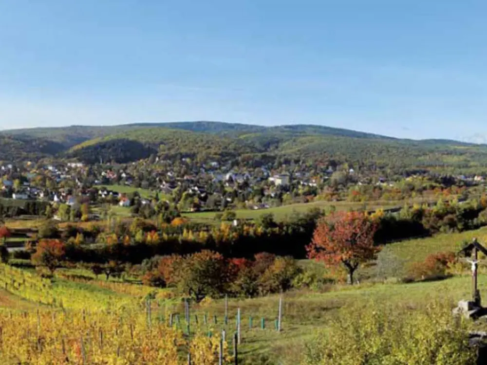 Wetterkreut Bad Sauerbrunn