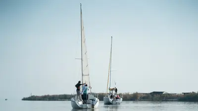 Segeln am Neusiedler See