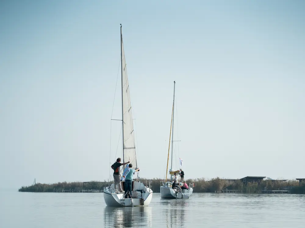 Segeln am Neusiedler See