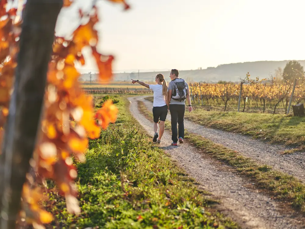 Wandern im Burgenland