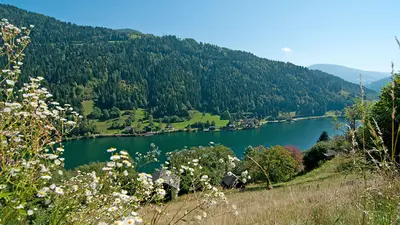 Blick auf den Afritzer See