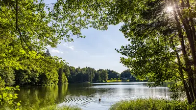 Trattnigteich in der Region Wörthersee