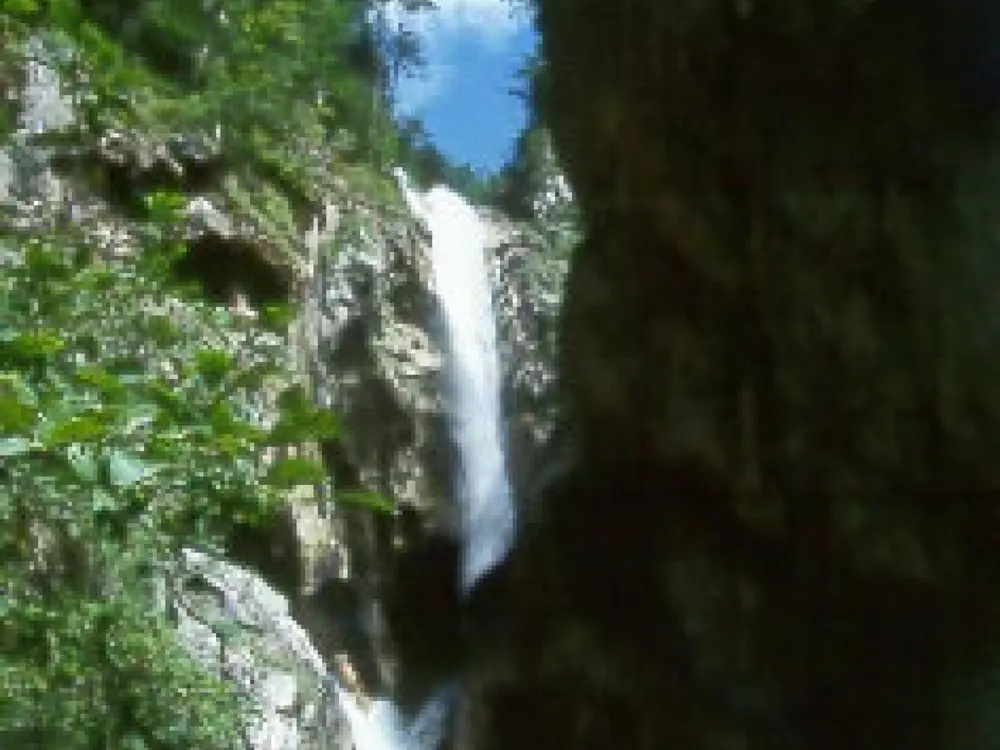 Tschaukofall ----Tscheppaschl