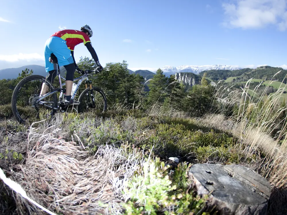 Mountainbiken am Sonnwendstein in den Wiener Alpen