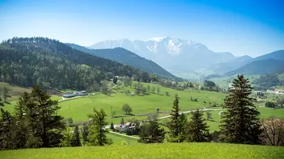 Grünbachsattel bei Puchberg