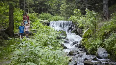 Wandern am Wildwasserweg in den Wiener Alpen