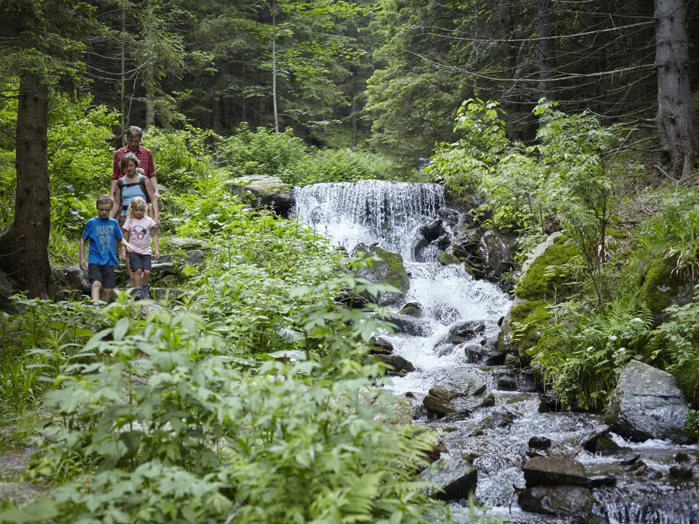 Wandern am Wildwasserweg in den Wiener Alpen