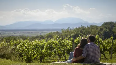 Picknick in den Wiener Alpen