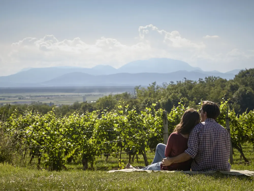 Picknick in den Wiener Alpen
