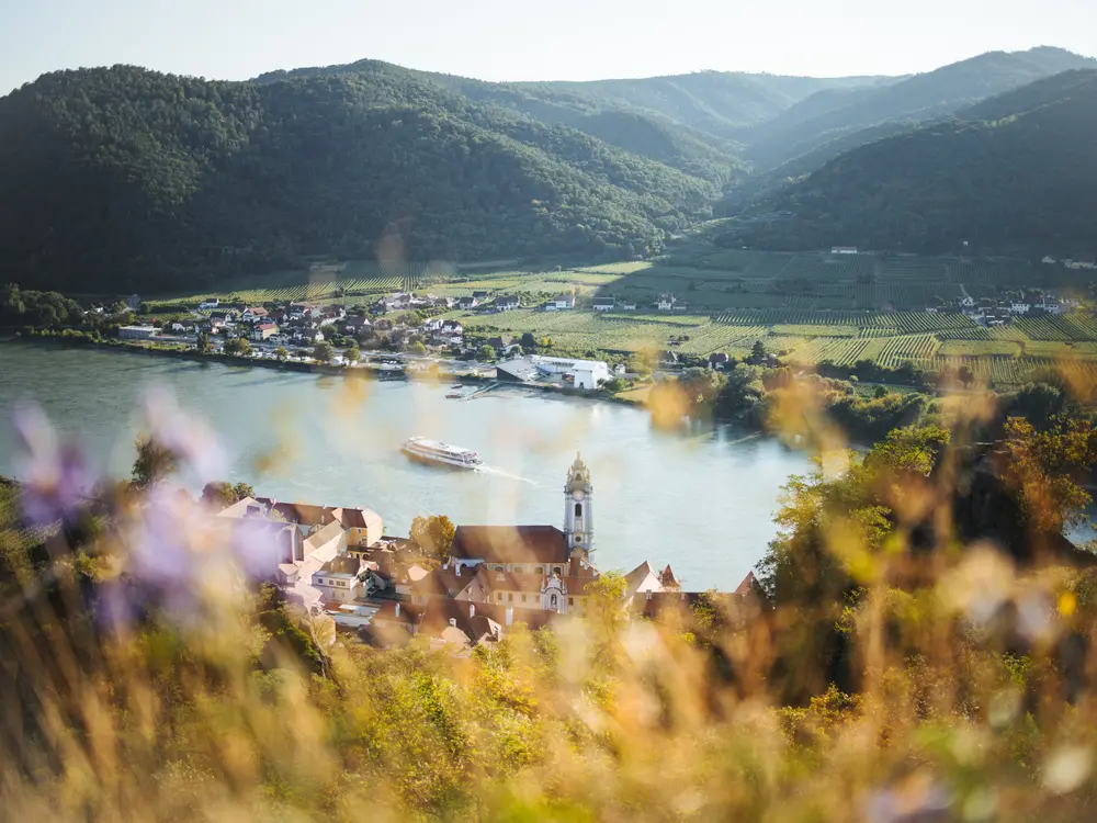 Ausblick auf die Donau vom Welterbesteig aus