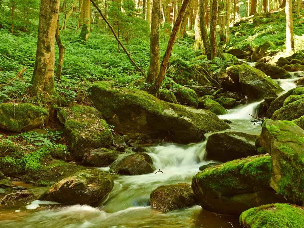 Wandern bei der Steinbachklamm am Weitwanderweg Nibelungengau