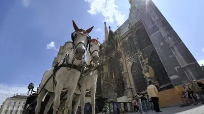 Fiaker vor dem Stephansdom