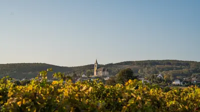 Herbst im Leithaland