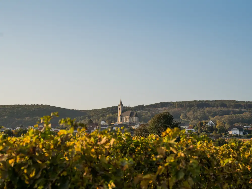 Herbst im Leithaland