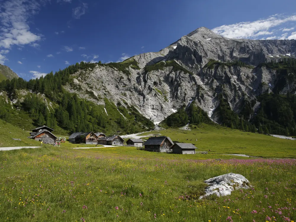 Ursprungalm in der Region Schladming-Dachstein