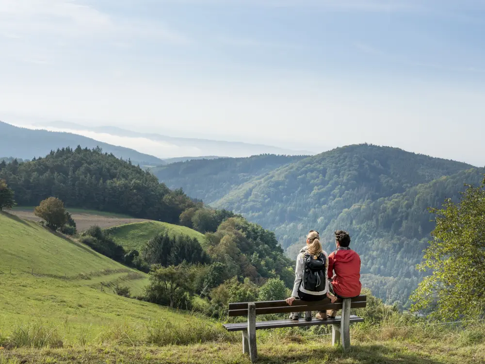Aussicht ins Weitental bei einer Wanderung im südlichen Waldviertel
