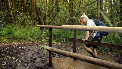 Hochmoor Schrems im Waldviertel