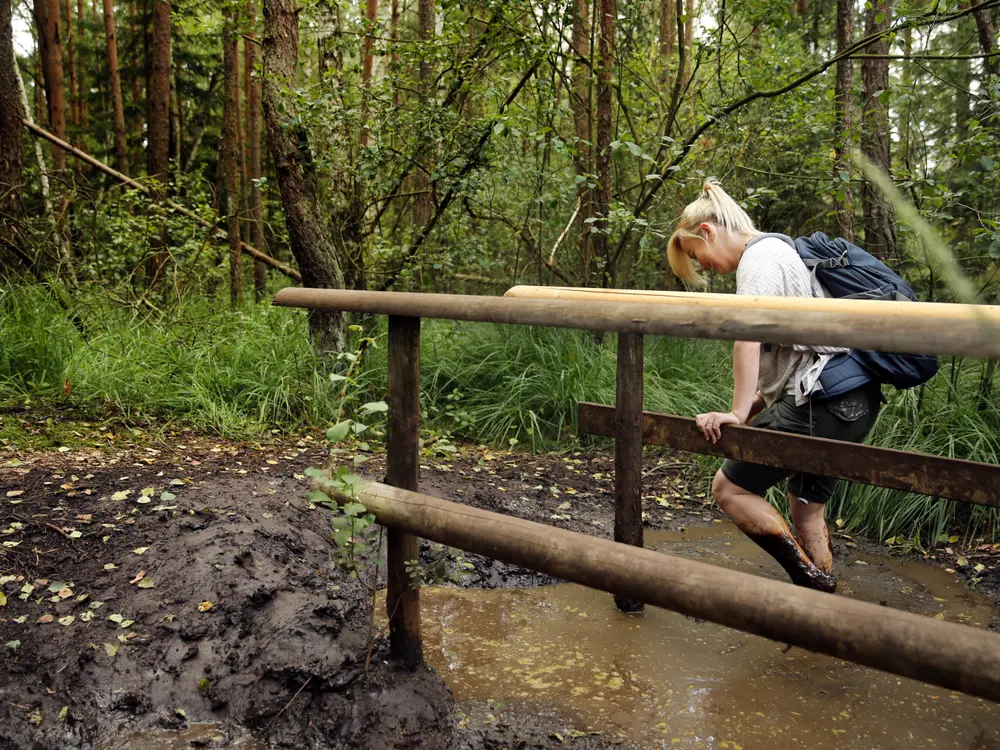 Wandern im Hochmoor Schrems im Waldviertel