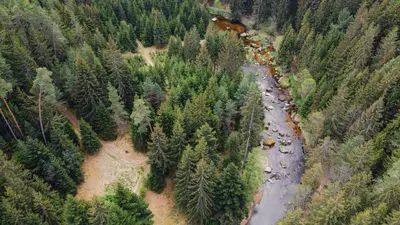 Kamptal im Waldviertel