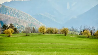 Dirndlhoheiten im Pielachtal