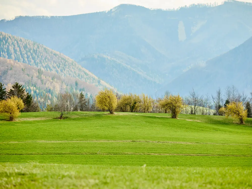 Ausblick auf die umliegenden Berge in der Tradigistgegend bei Kirchberg