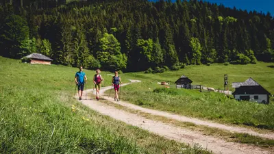 Wandern bei der Falkensteinalm