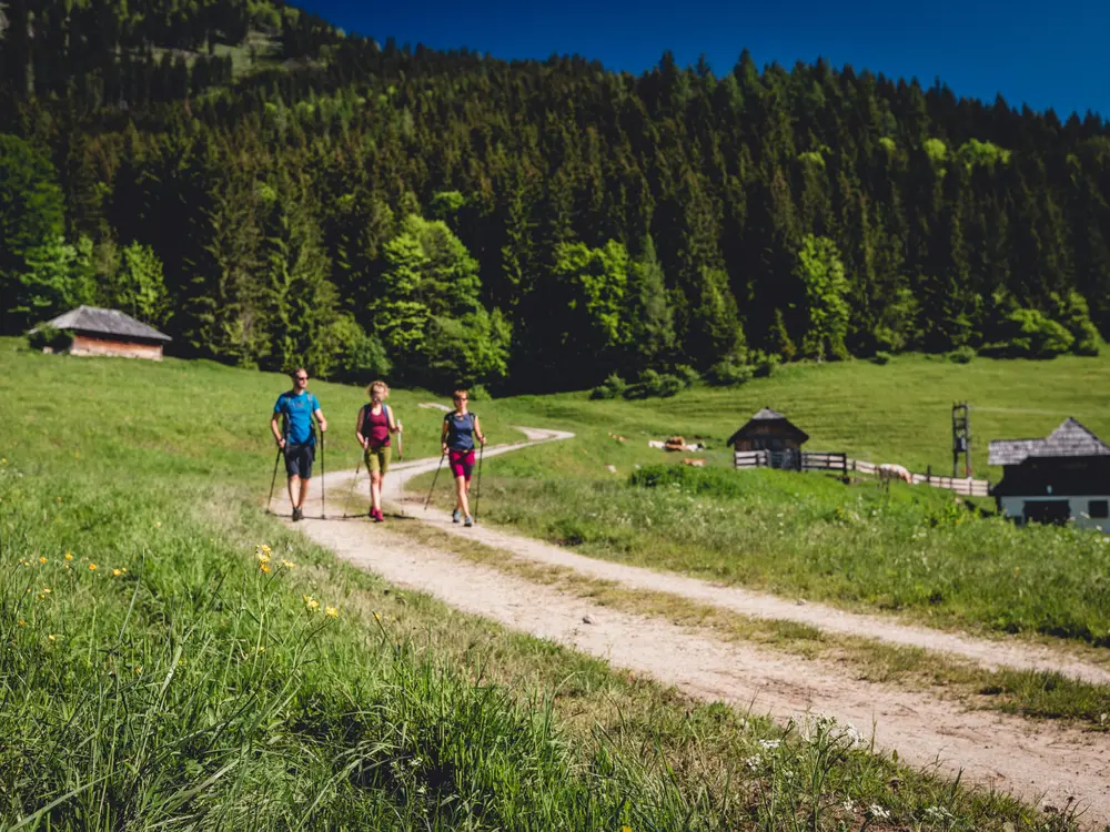 Wandern bei der Falkensteinalm