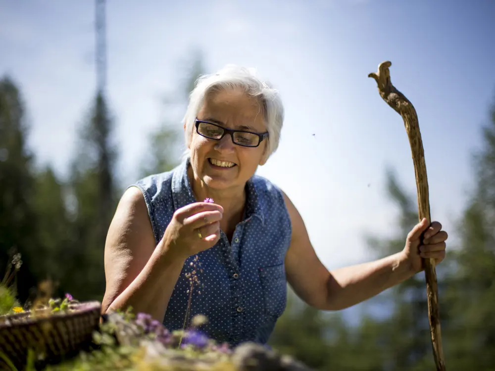 Höhenluft und Kräuterduft