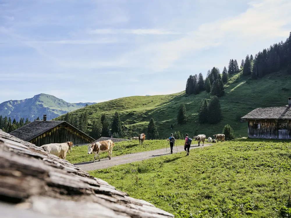 Unterwegs im Walsertal