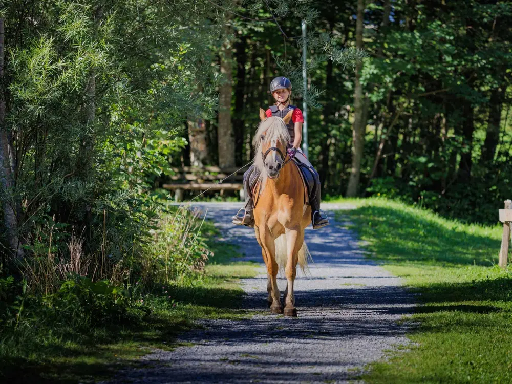 Reiten im Brandnertal