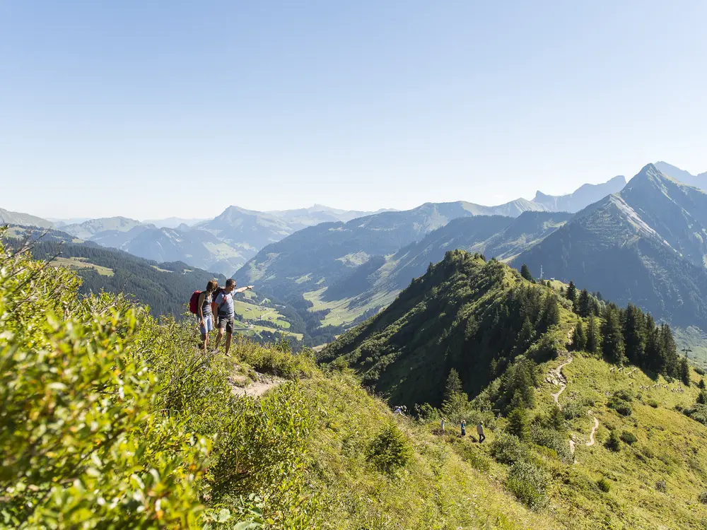 Unterwegs am Blumen-Lehrpfad Richtung Glatthorn
