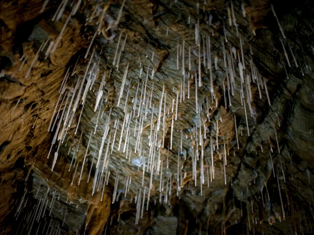 Die Lurgrotte Peggau ist Österreichs größte wasserdurchströmte Schauhöhle