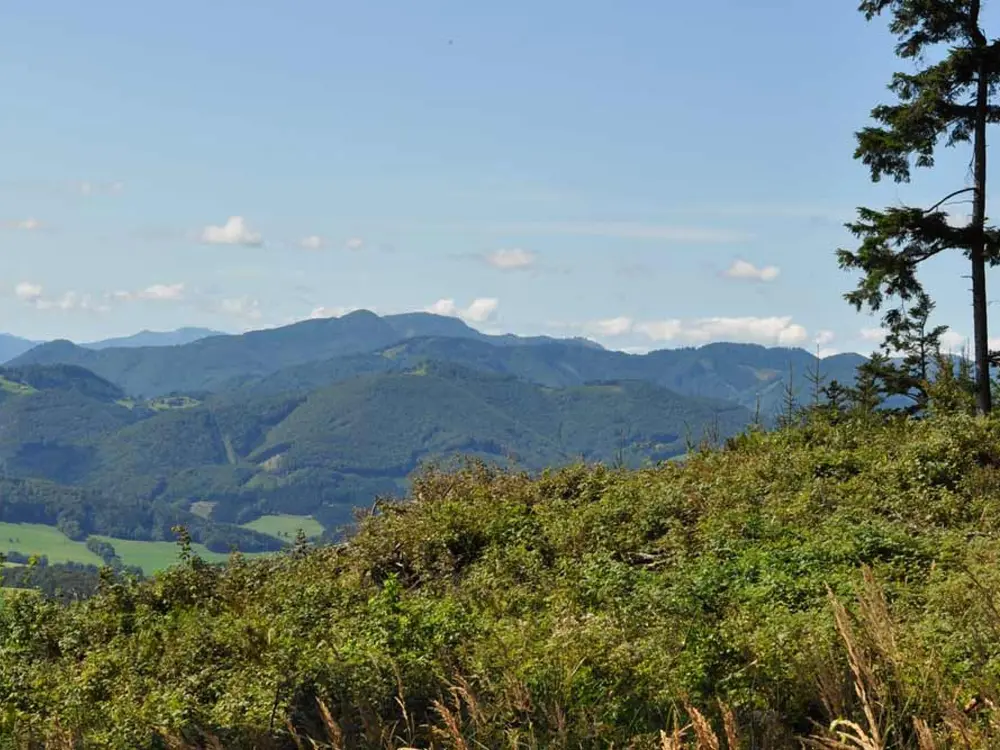 Gföhlberg: Ausblick auf den Wienerwald