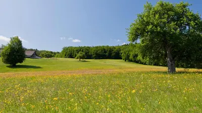 Schöpflwanderung Wienerwald