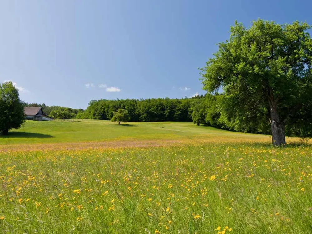Schöpflwanderung Wienerwald