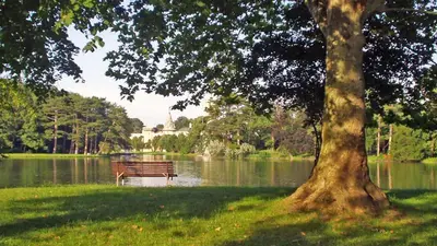 Laxenburger Schlosspark