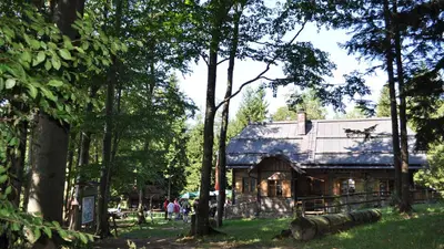 Gföhlberghütte Wienerwald