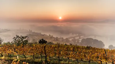 Herbst in der Wachau