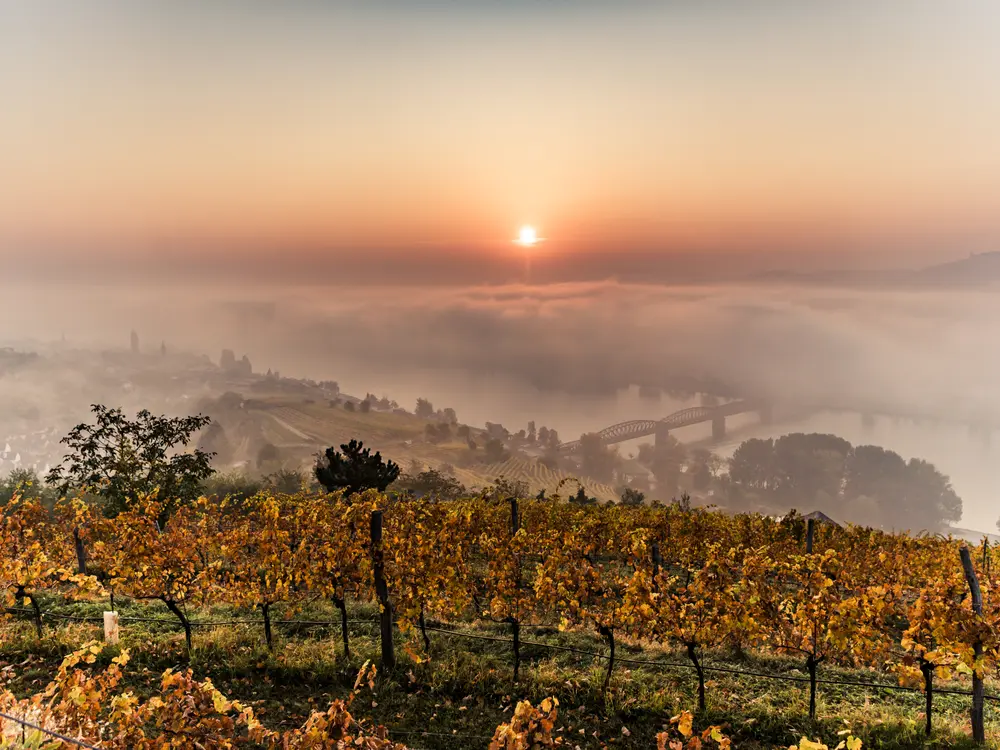 Impressionen aus der Wachau